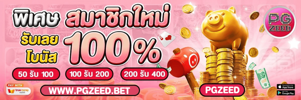 โปรโมชั่น PGZEED
